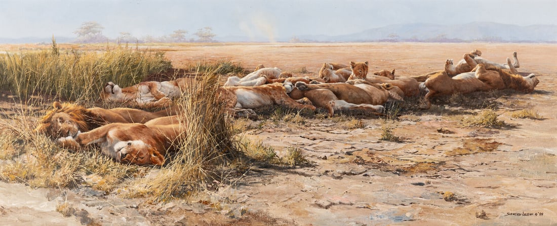 John Serrey-Lester (American, b. 1946) Savannah Siesta, African Lions, 1988 (1 of 3)