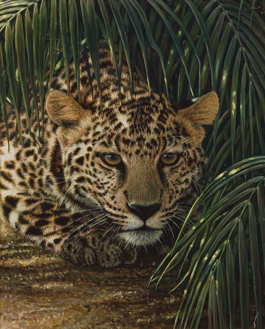 Richard Mravik (Canadian, b. 1973) Crouching Leopard, 1999 (1 of 3)