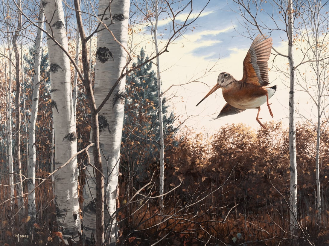 David Maass (American, b. 1929) Woodcock (1 of 5)