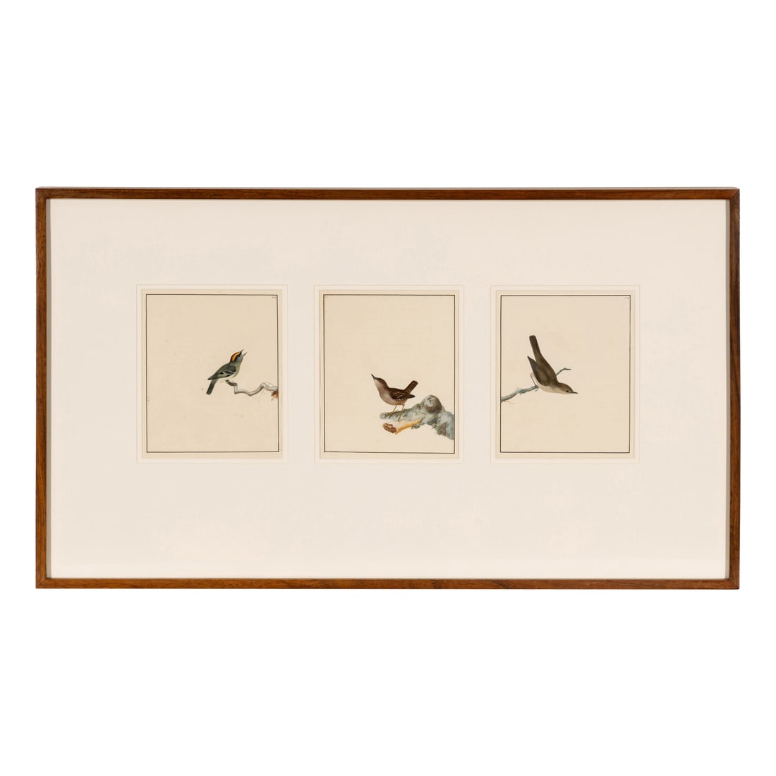 William Lewin (British, 1747-1795) Bird Portrait No. 111, Bird Portrait No. 112, and Bird Portrait (1 of 3)
