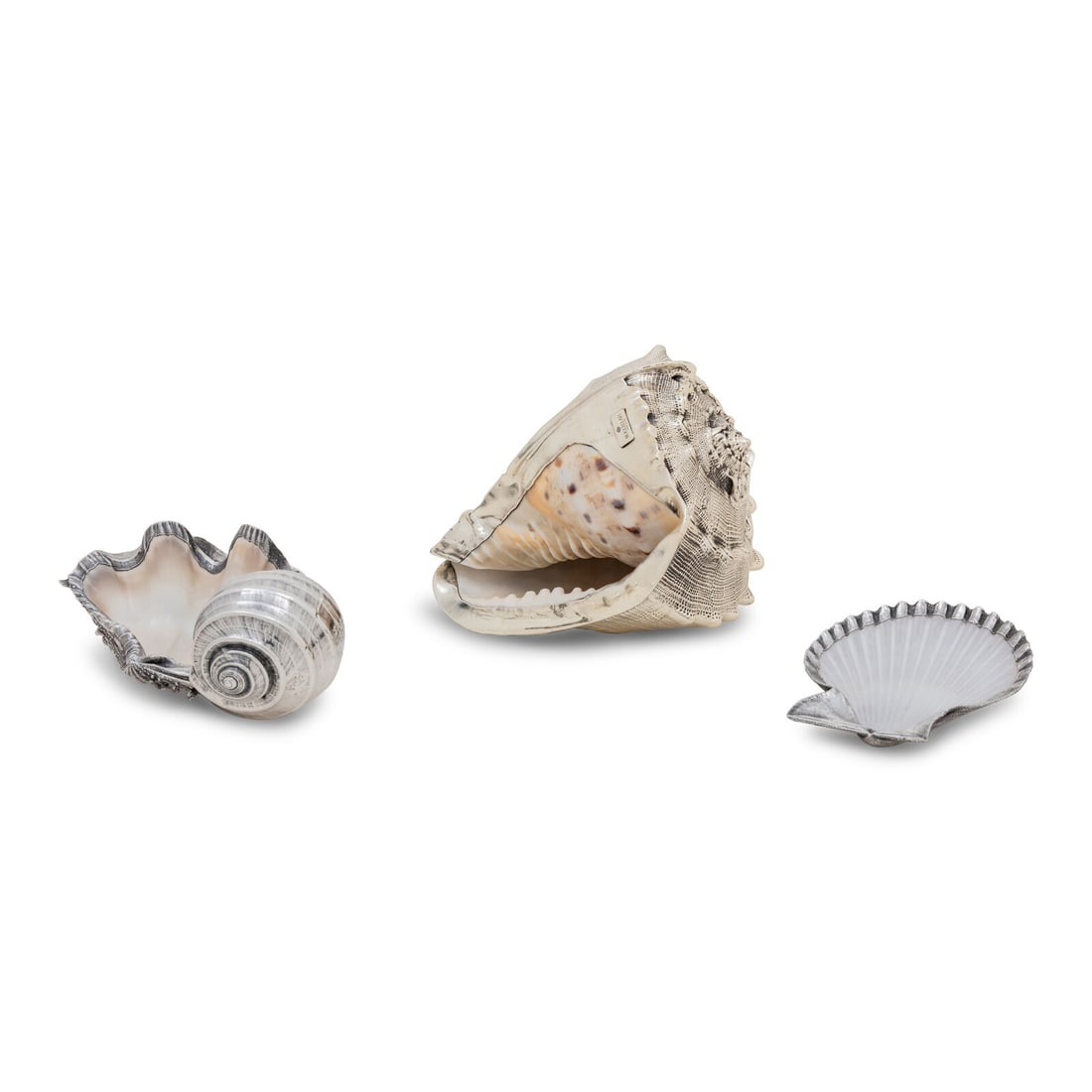 Three Buccellati Silver-Wrapped Shells: Three Buccellati Silver-Wrapped Shells 20th Century together with a fourth example, unmarked. Height of largest 5 x width 6 3/8 inches. This lot is located in Chicago.