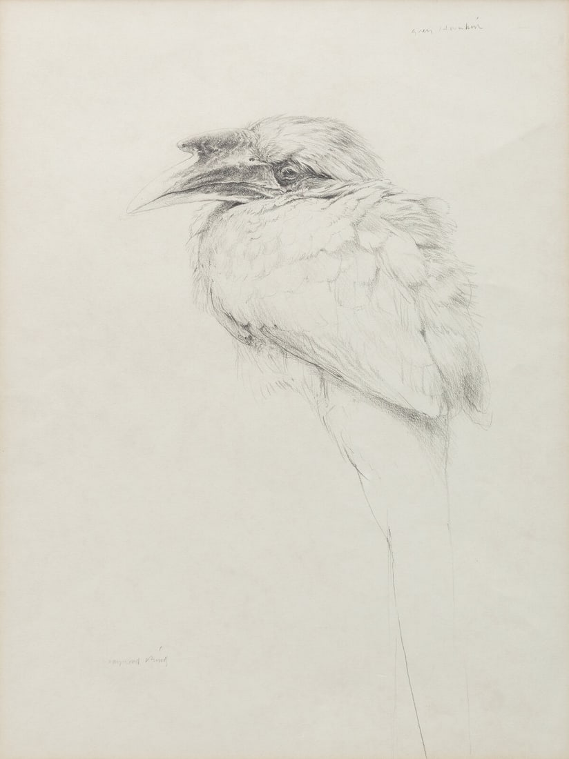 Raymond Harris Ching (New Zealand, b. 1939) Grey Hornbill, 1978 (1 of 4)