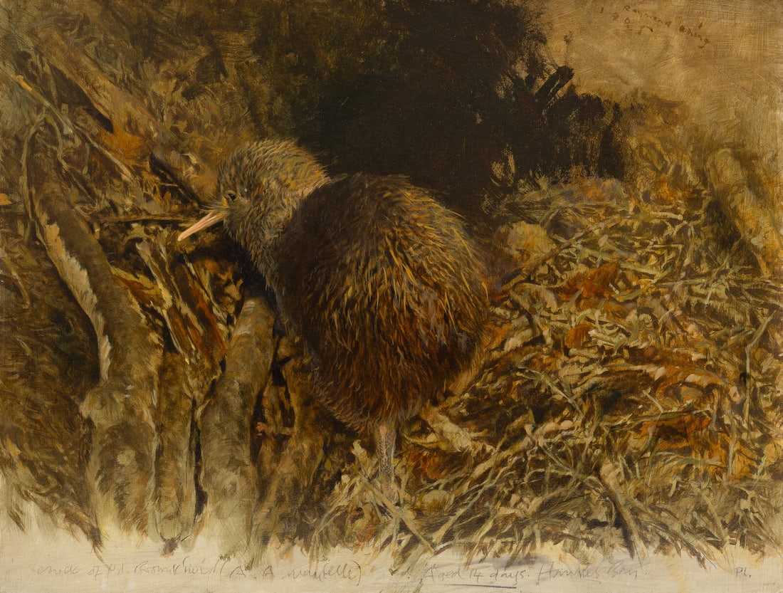 Raymond Harris Ching (New Zealand, b. 1939) Kiwi Chick, 1985 (1 of 3)