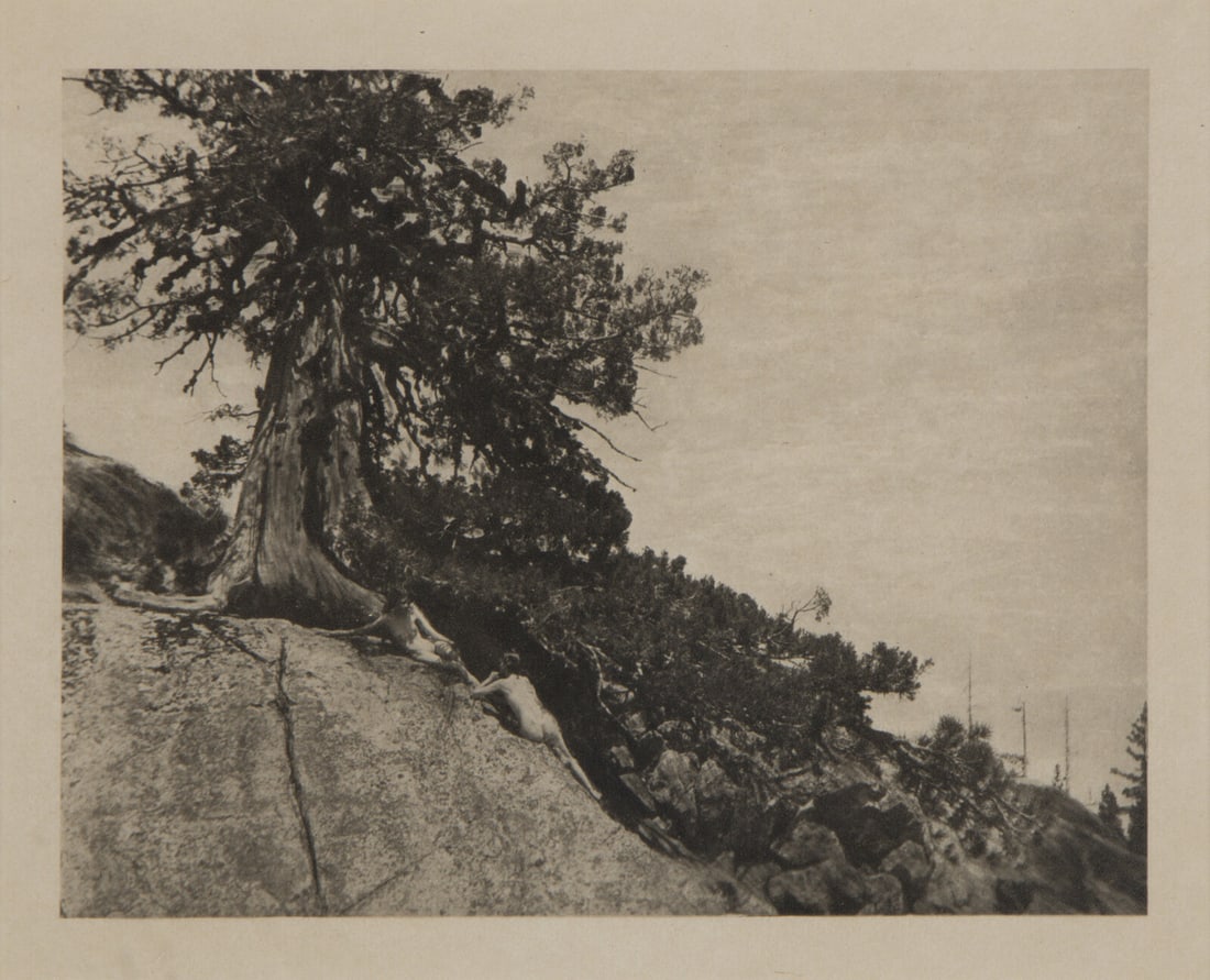 Anne W. Brigman (1869-1950) Dryads (from 'Camera Work' No. 44). 1913. Photogravure on tissue.: Anne W. Brigman (1869-1950) Dryads (from 'Camera Work' No. 44). 1913. Photogravure on tissue. 6 1/4 x 8 in. (158 x 229 mm) sheet 8 x 11 in. (203 x 279 mm) This lot is located in Chicago.