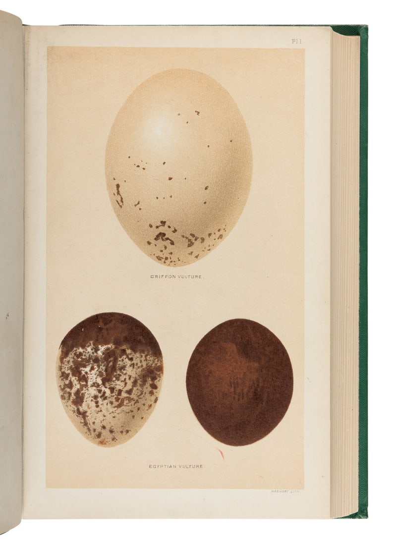 [Natural History]. Seebohm, Henry (1832-1895). A History of British Birds, with Coloured: [Natural History]. Seebohm, Henry (1832-1895). A History of British Birds, with Coloured Illustrations of their Eggs. London: R.H. Porter and Dulau & Co., 1883-1885. 4 volumes, tall 8vo. 68 chromolith