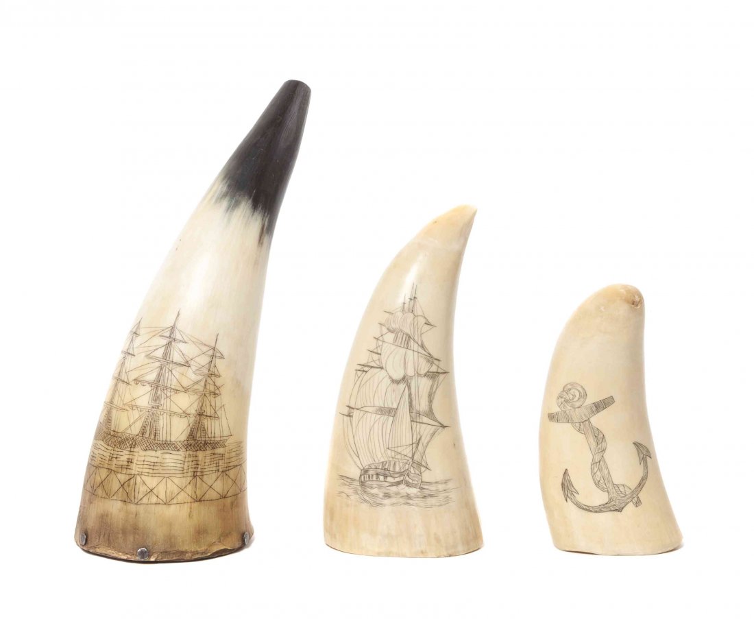 Two Scrimshaw Whale's Teeth, Height of tallest 6 1/8 in: Two Scrimshaw Whale's Teeth, two depicting sailing vessels, together with a horn depicting a sailing vessel and an anchor. Height of tallest 6 1/8 inches. Property from the Estate of Benjamin and Loui