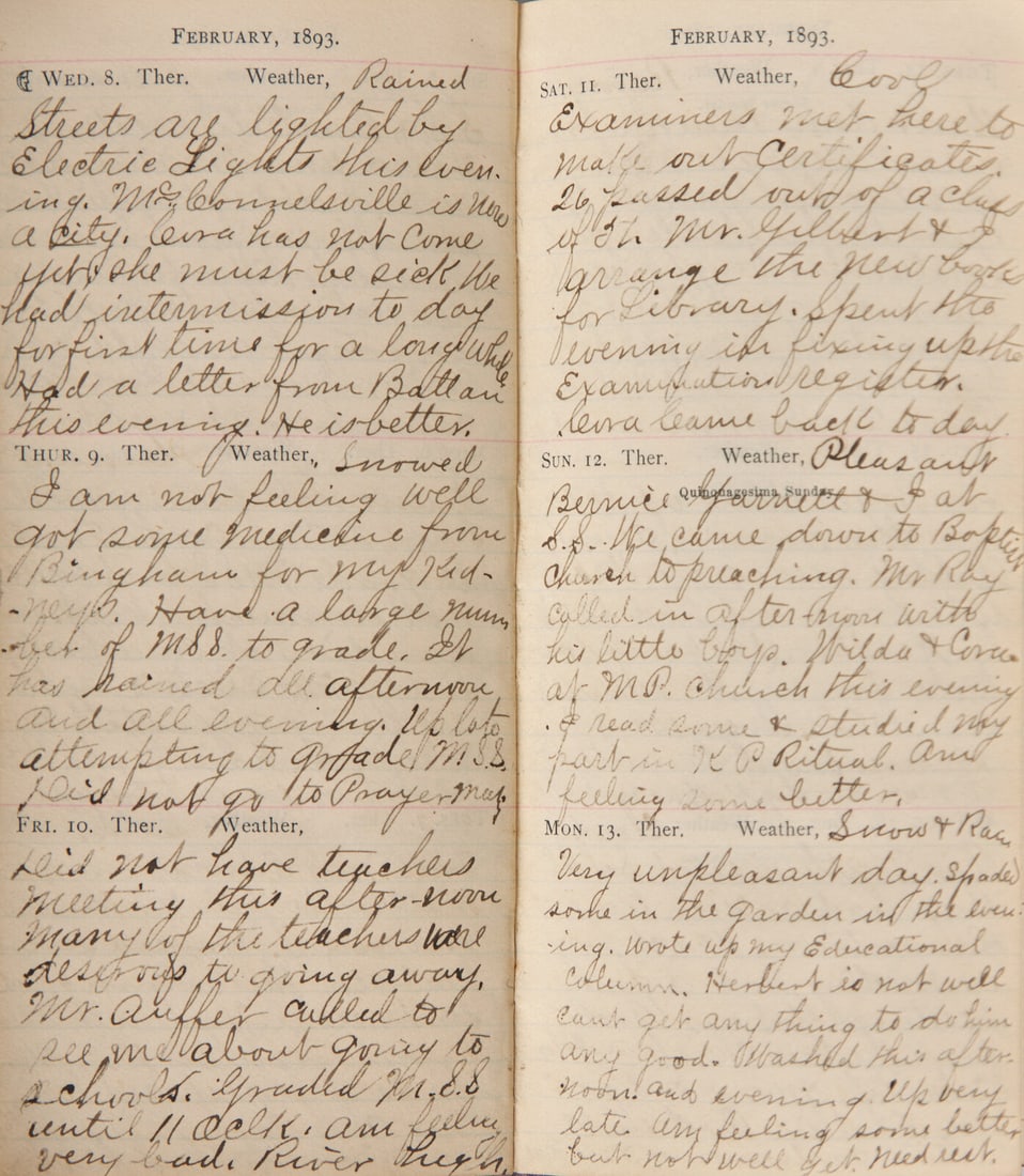 [Americana] [1893 Chicago World's Fair] Personal Diary of William M. Wikoff, with an Original Fair (1 of 3)
