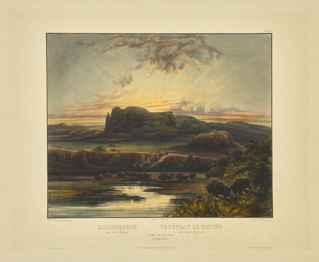 [Native-Americana] Bodmer, Karl. Bisonheerde...Herd of Bisons on the upper Missouri (1 of 2)
