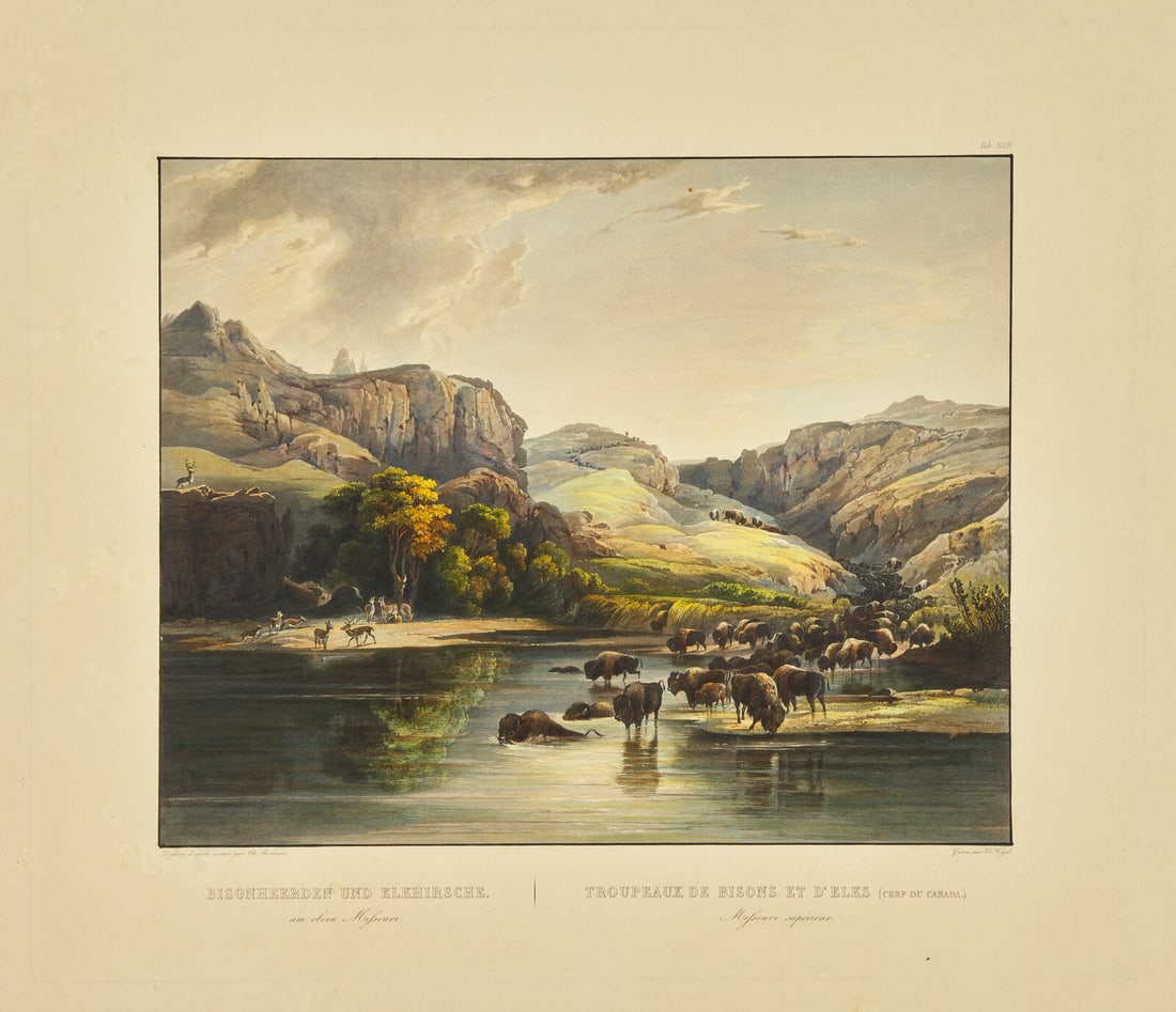 [Native-Americana] Bodmer, Karl. Bisonheerden und Elkhirsche... (1 of 2)