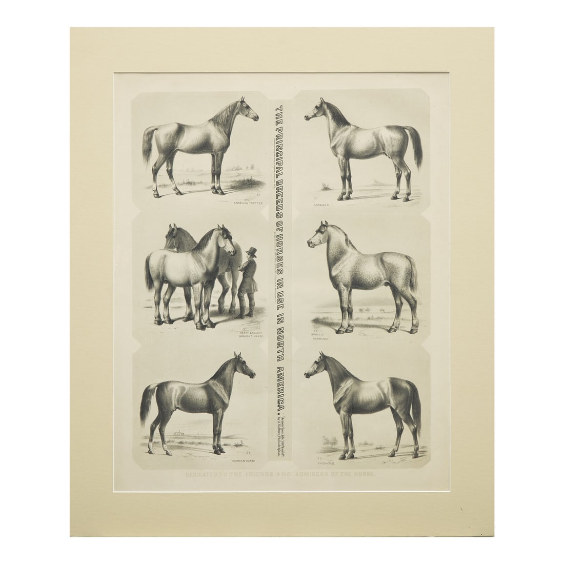 Augustus Kollner (1812-1906), The Principal Breeds of Horses in Use in North America (1 of 2)