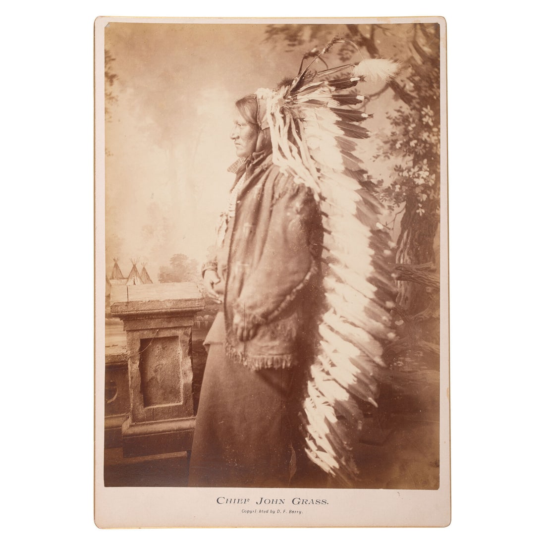 David F. Barry (American, 1854-1934) Chief John Grass, Lakota (1 of 1)
