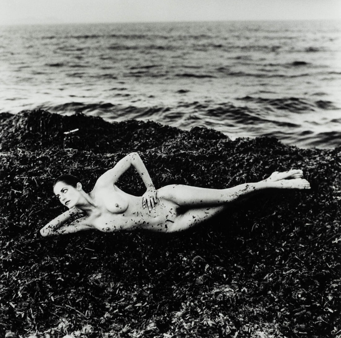 Helmut Newton (Australian/German, 1920–2004) Nude on Seaweed, Saint Tropez, 1981: Helmut Newton (Australian/German, 1920–2004) Nude on Seaweed, Saint Tropez, 1981 gelatin silver print signed, titled, and dated in pencil; bearing the artist's Monte-Carlo copyright stamp and a Repr