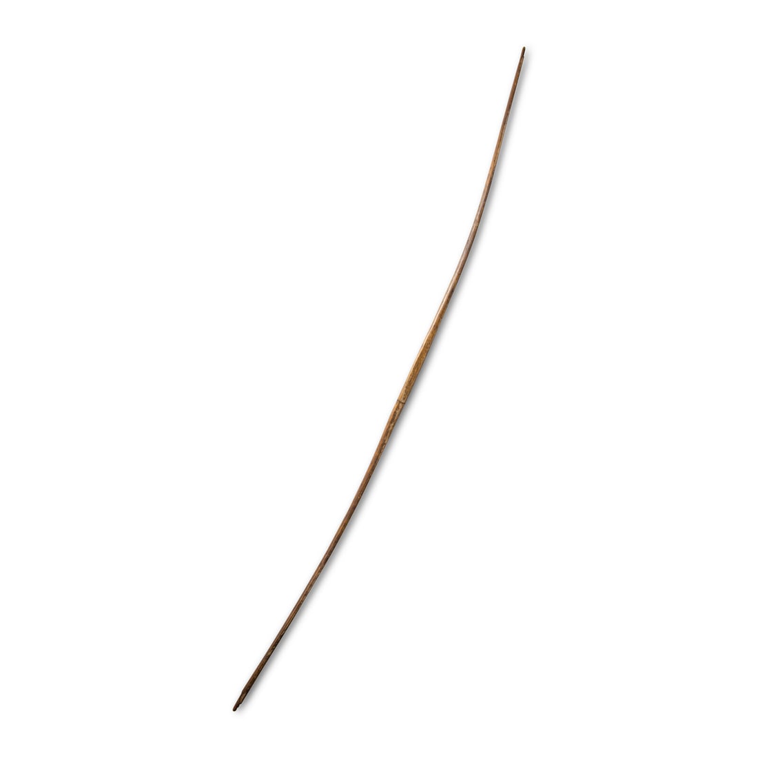 Southeastern Bow - 2
