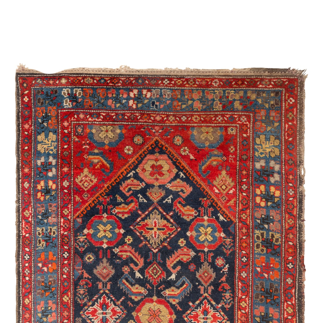 A Northwest Persian Runner - 2