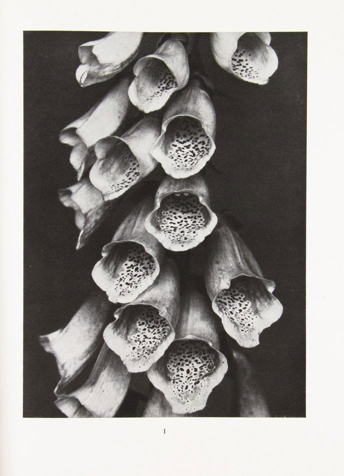 (PHOTOGRAPHY) RENGER-PATZSCH, ALBERT, AND CARL GEORG: (PHOTOGRAPHY) RENGER-PATZSCH, ALBERT, AND CARL GEORG HEISE Die welt ist schon. Munich: Kurt Wolff, 1928. 4to, publisher's blue cloth stamped in silver. First edition, with 100 black and white photogra