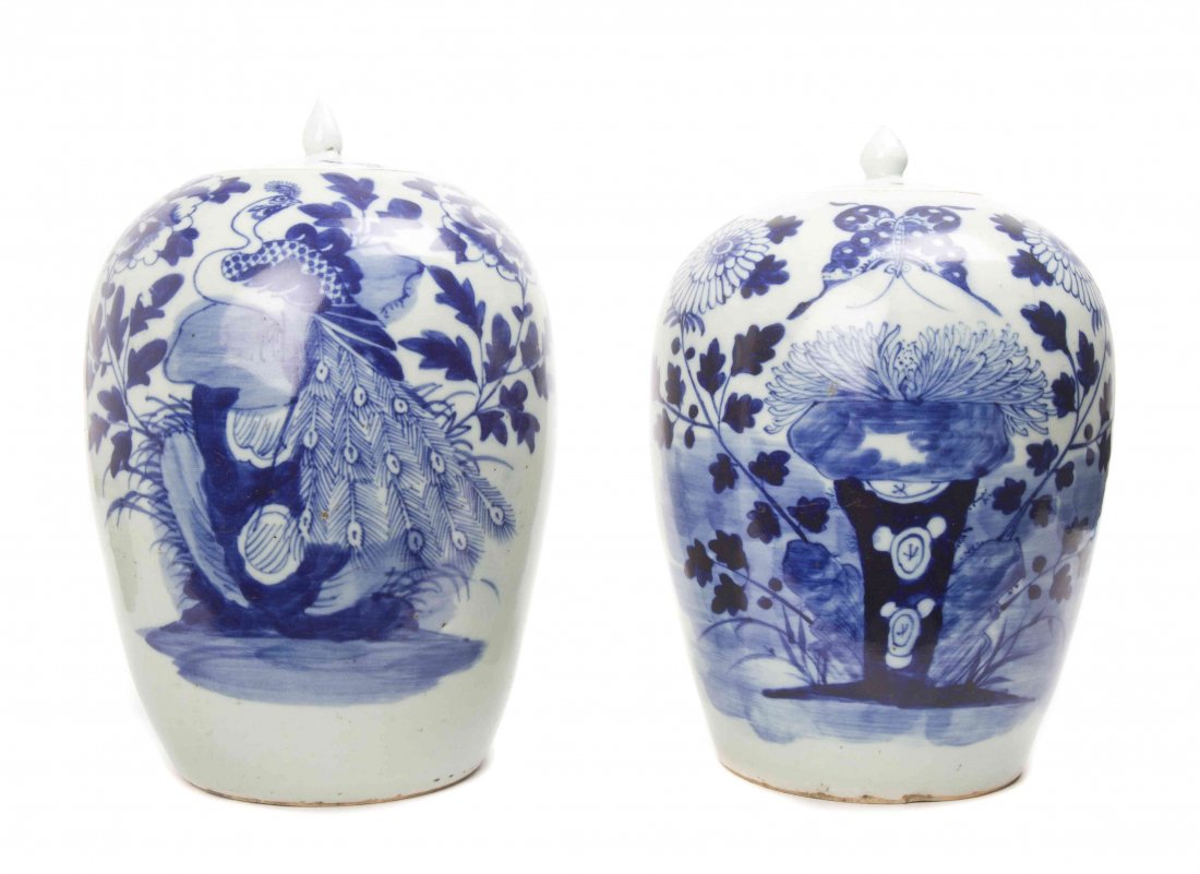 Two Blue and White Porcelain Ginger Jars, Height of: Two Blue and White Porcelain Ginger Jars, one having chrysanthemum, butterfly and floral decoration, the other having peacock decoration. Height of each 13 inches. Property from the Collection of Deny