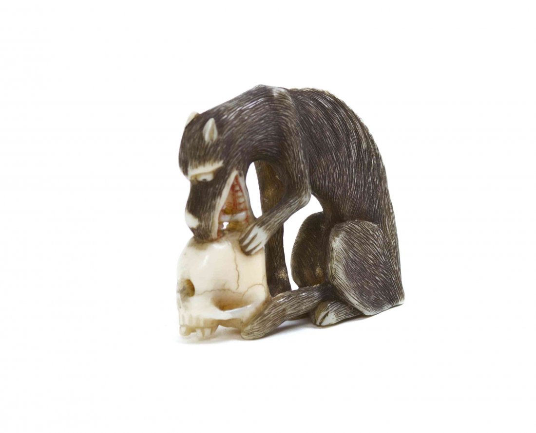 A Carved Ivory Wolf and Skull Netsuke, Width 1 7/8: A Carved Ivory Wolf and Skull Netsuke, the wolf depicted with its jaws open and resting upon the skull, with polychrome accents. Width 1 7/8 inches. Property from the Collection of Dr. J. Don Nelson, 