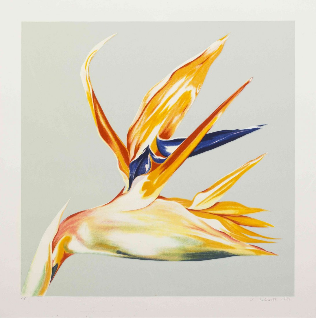 Lowell Nesbitt, (American, 1933-1993), Bird of: Lowell Nesbitt (American, 1933-1993) Bird of Paradise, 1980 screenprint signed L. Nesbitt and dated (lower right) 37 x 36 inches. Property of the High Museum of Art Sold to Benefit th