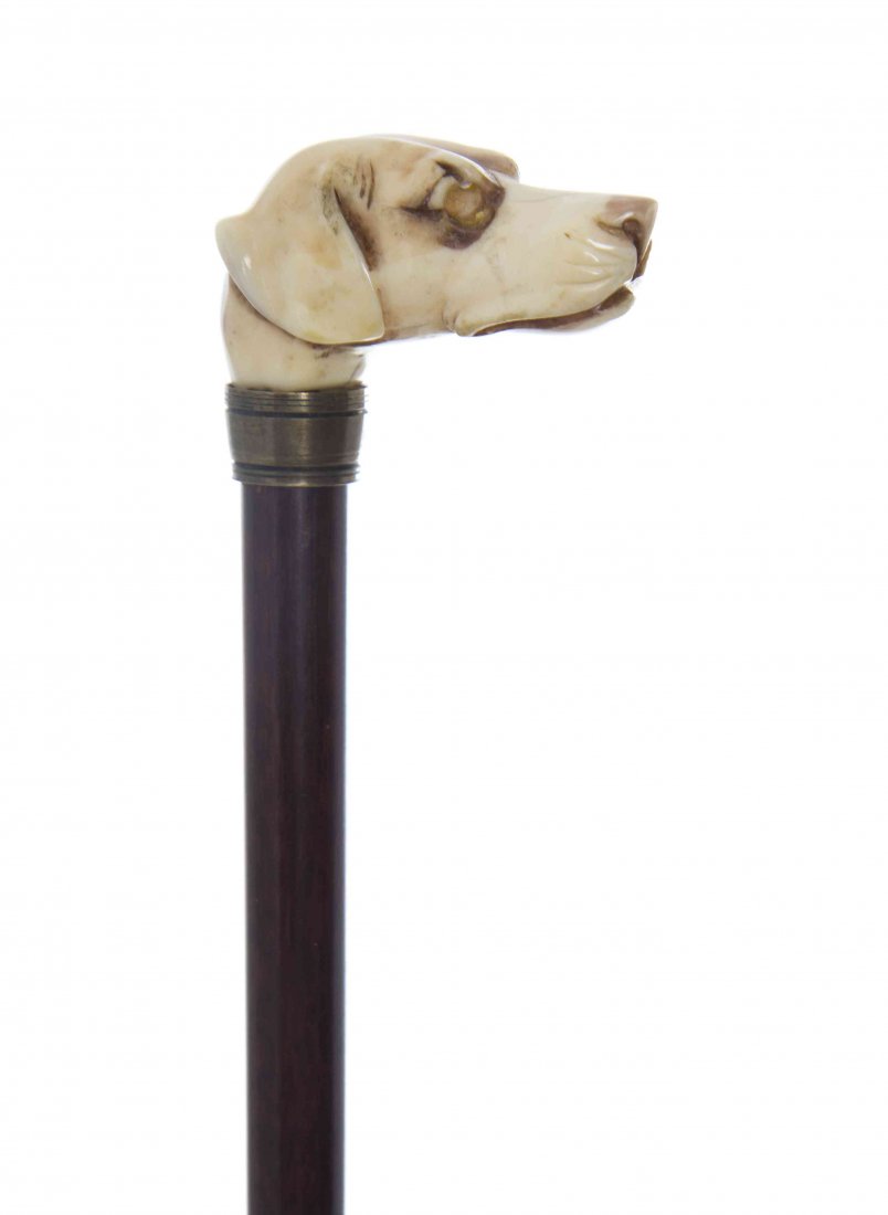 An English Ivory Handled Cane, Length of handle 2 x: An English Ivory Handled Cane, late 19th century, having a carved handle depicting a hound's head with inlaid glass eyes, with a lathe turned brass collar on a cocobolo shaft, ending in a turned bone 