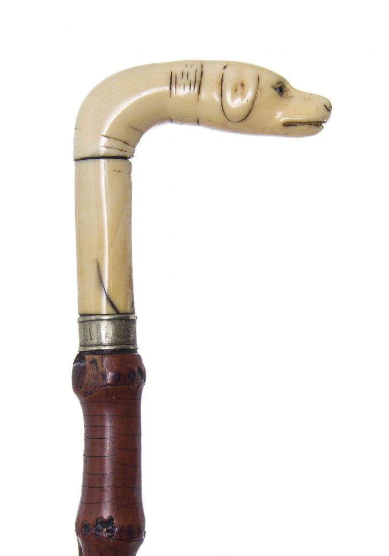 An Austrian Carved Walrus Ivory Handled Cane, Width of: An Austrian Carved Walrus Ivory Handled Cane, mid-19th century, having an L shape handle in the shape of a dog's head with glass inlaid eyes, with a German sterling silver collar on a bamboo shaft, en
