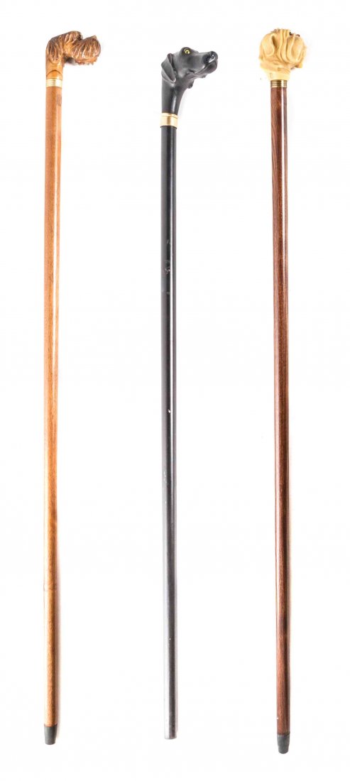 A Collection of Three Canes, Length of handle 3 x: A Collection of Three Canes, comprising an example with a black Labrador head form handle set with glass eyes above the gilt metal collar, raised on an ebonized shaft, a carved wood example with the h
