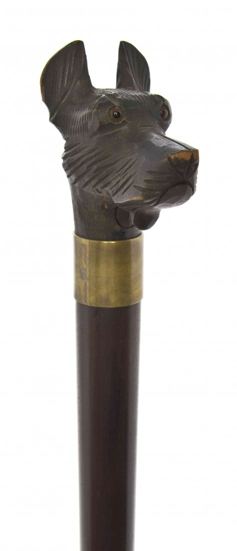 An American Wood Handled Cane, Length of handle 3 x: An American Wood Handled Cane, having a carved dog's head form handle with ebonized glass eyes, the lower jaw on a spring to serve as a glove holder, with a brass collar on a rosewood shaft, ending in