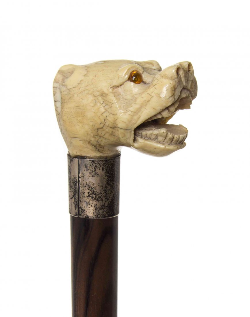 An American Ivory Handled Cane, Width of handle 2 1/2 x: An American Ivory Handled Cane, 19th century, having a carved handle in the shape of a snarling dog's head with amber inset eyes, with a sterling silver collar on a Macassar ebony shaft, ending in a s