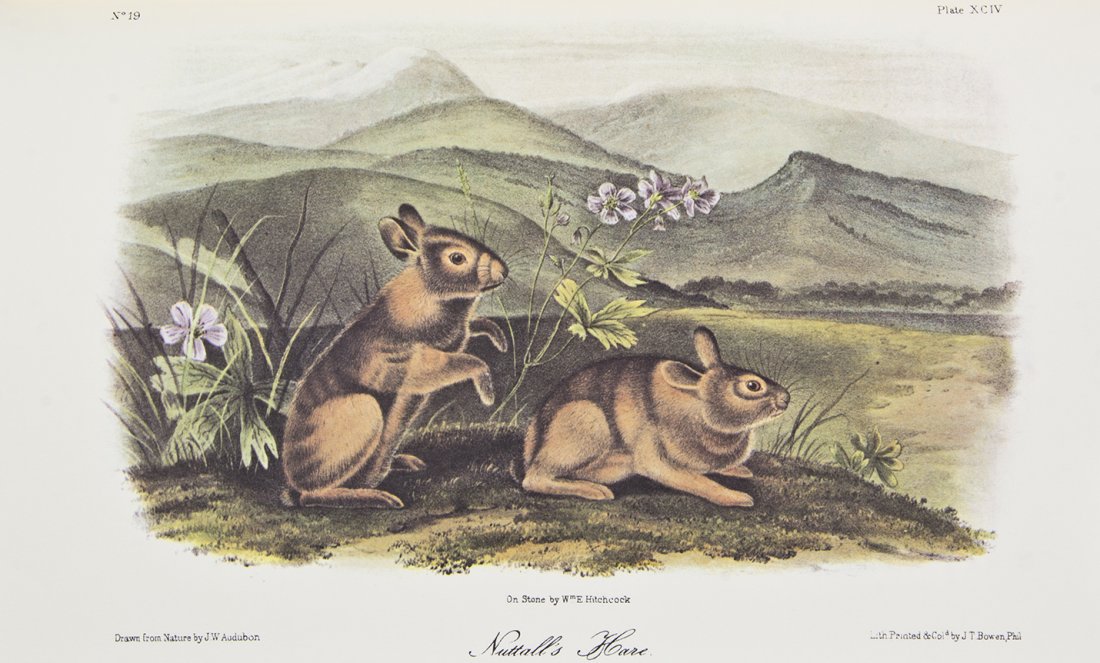 AUDUBON, JOHN JAMES. The American Wildlife Heritage. 8: AUDUBON, JOHN JAMES The American Wildlife Heritage. 8 vols. [Together with:] The Selected Birds [and] Selected Quadrupeds of North America. Kent, OH: Volair Limited, 1978-1979. 10