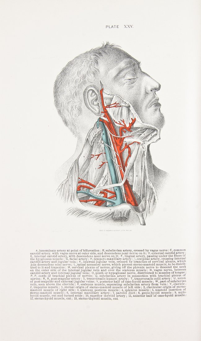 (SURGERY) HEISTER, LAURENCIO D. Instituciones: (SURGERY) HEISTER, LAURENCIO D. Instituciones chirurgicas, y cirugia completa universal. Madrid: Pedro Marin, 1778. Vol. 3 (of 4) only. 8vo, original calf, gilt-tooled and lettered spine. With 13 engr
