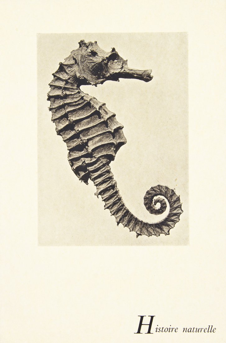 (PHOTOGRAPHY) MAN RAY. La photographie n'est pas l'art.: (PHOTOGRAPHY) MAN RAY La photographie n'est pas l'art. Paris: G.L.M.: 1937. 8vo, original blue paper wraps. Introduction by Andre Breton. Complete with 12 reproductions of photographs by Man Ray. Fadi