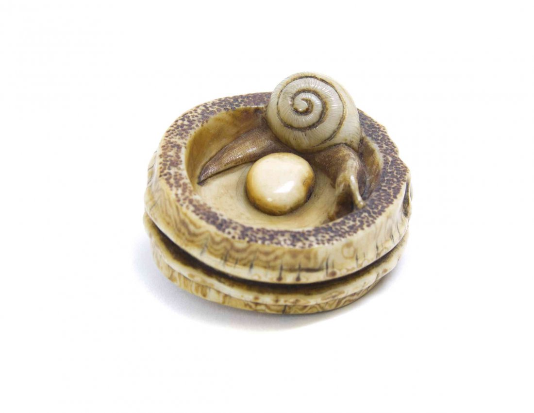 A Carved Ivory Manju Netsuke, Diameter 2 1/8 inches.: A Carved Ivory Manju Netsuke, depicting a snail in a cut segment of bamboo. Diameter 2 1/8 inches. Property from the Collection of Dr. J. Don Nelson, Fargo, North Dakota Provenance: Purchased circa 19
