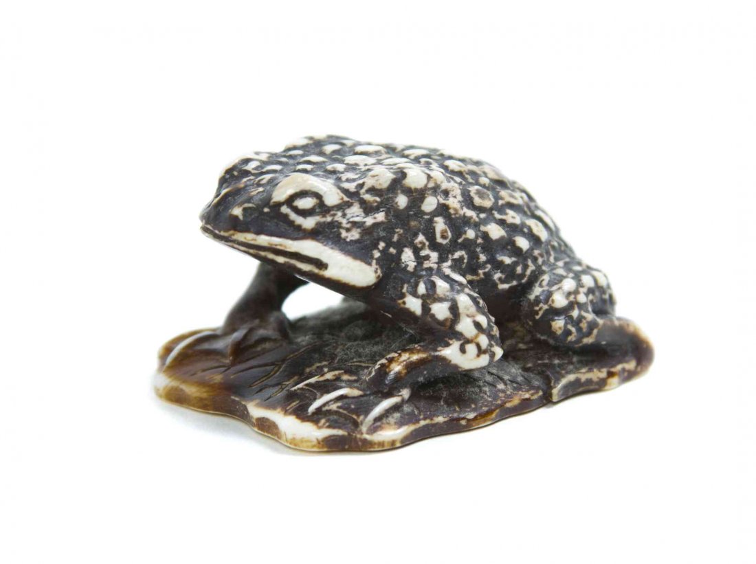 A Carved Ivory Netsuke, Width 1 1/2 inches.: A Carved Ivory Netsuke, depicting a toad, four square on a shaped base, signed. Width 1 1/2 inches. Property from the Collection of Dr. J. Don Nelson, Fargo, North Dakota Provenance: Purchased circa 1