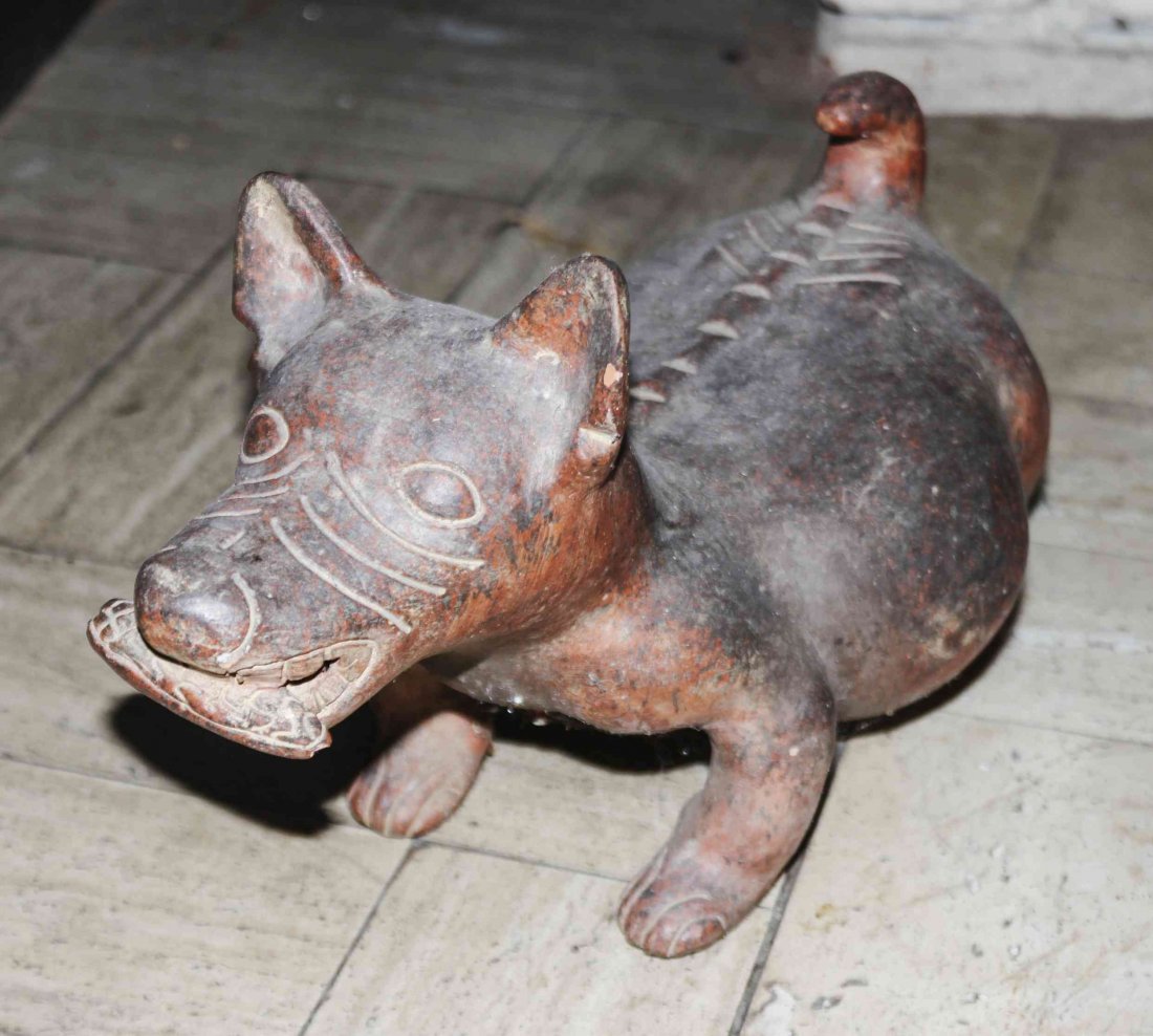 A Colima Style Pottery Figure, Length 13 1/4 inches.: A Colima Style Pottery Figure, depicting a dog with a corn cob in its mouth. Length 13 1/4 inches.