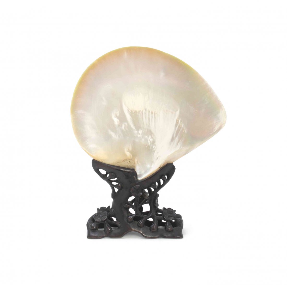 An Abalone Shell, Width 9 3/8.: An Abalone Shell, raised in a carved hardwood stand with pierce carved and prunus decoration, fitted to orient the shell vertically. Width 9 3/8.