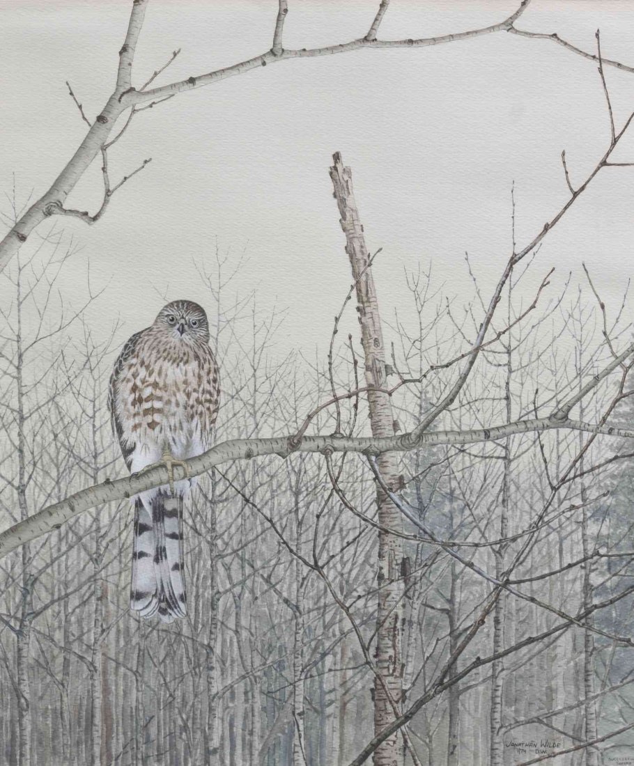 Jonathan Wilde, (Wisconsin, b. 1948), The Owl, 1974: Jonathan Wilde (Wisconsin, b. 1948) The Owl, 1974 watercolor signed Jonathan Wilde D.W. and dated (lower right) 18 1/4 x 15 1/4 inches.