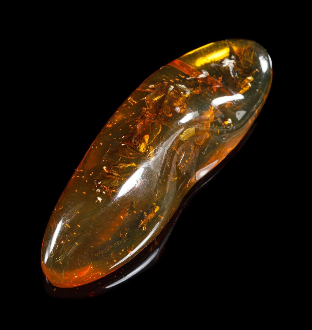 A Polished Amber Specimen with Encapsulated Termite: A Polished Amber Specimen with Encapsulated Termite Swarm and Mammal Hair, Oligocene Era, La Bucara Mines, Dominican Republic, crystal green amber containing a mating swarm of over twenty termites, mo