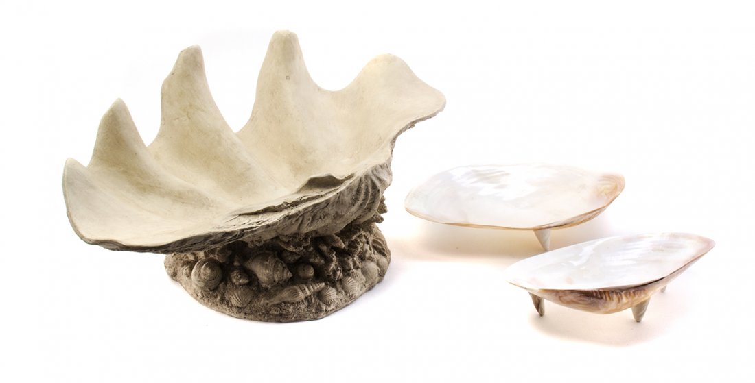 A Grotto Style Composite Tazza, Width of first 19 3/4: A Grotto Style Composite Tazza, of shell form fitted with numerous species of seashells, together with abalone shells. Width of first 19 3/4 inches.