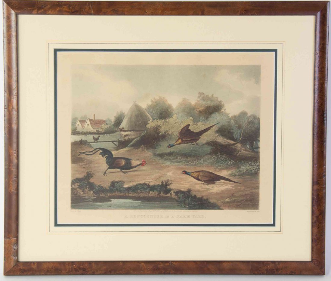 Four English Hand Colored Engravings, Height 9 3/4 x: Four English Hand Colored Engravings, PUBLISHED BY J. WATSON, comprising A Rencounter in a Farmyard, Pheasants in Danger, Anticipation, and Possession. Height 9 3/4 x width 12 inches (each). Property 