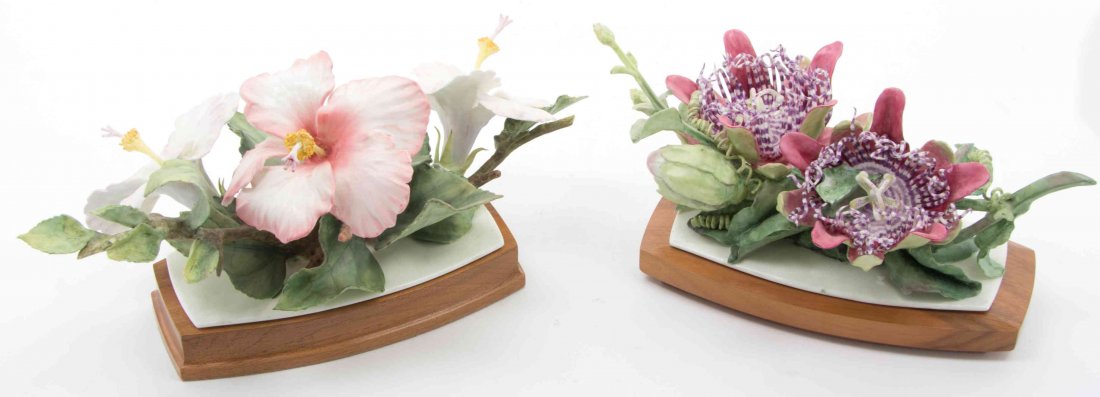 A Pair of Royal Worcester Floral Groups Width of wider: A Pair of Royal Worcester Floral Groups MODELED BY RONALD VAN RUYCHEVETT Hibiscus 1962 and Passion Flower, each raised on a fitted wood stand. Width of wider 12 1/2 inches.