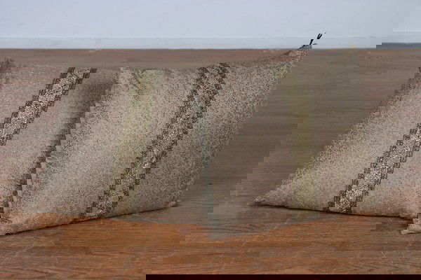 Two Early 20th Century Maru Silk Obi Pillows,: Two Early 20th Century Maru Silk Obi Pillows, with 18th century trim.