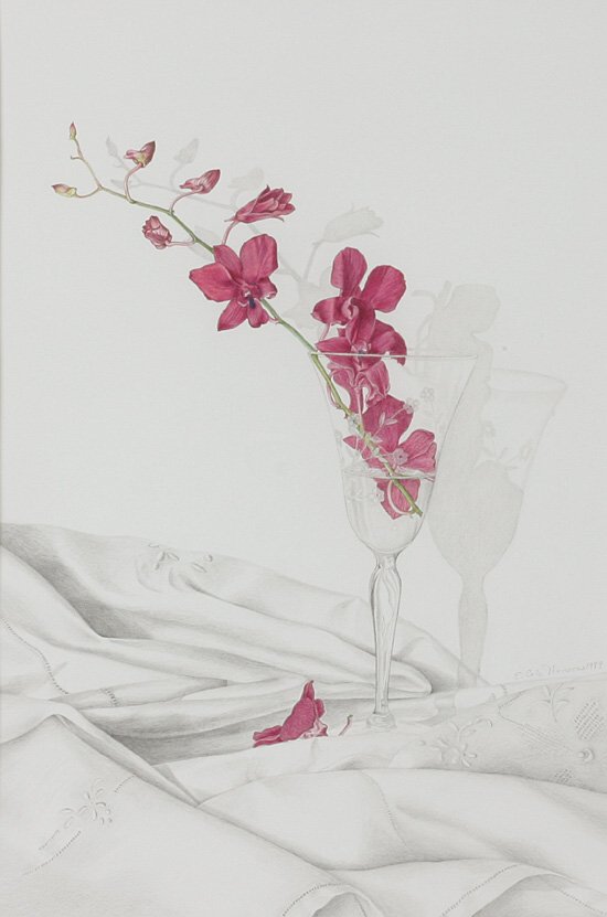 Elizabeth Thomson: Orchids with Crystal and Linen drawing, graphite and colored pencil 11 1/2 x 17 1/2 inches.