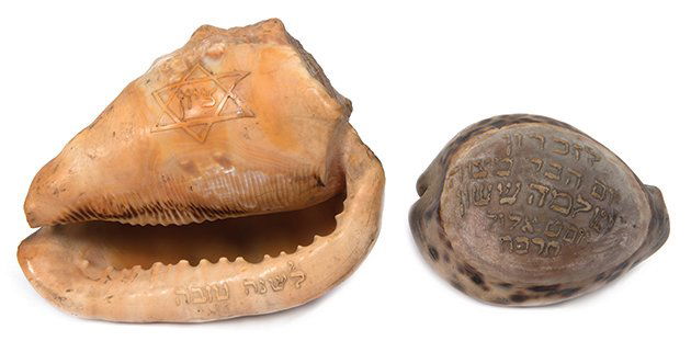 Two Carved Shells / Sassoon Family (1 of 1)