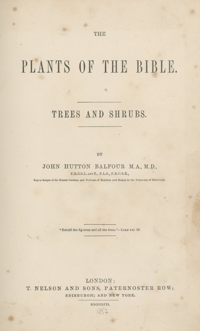 The Plants of the Bible - London, 1857 - First Edition: The Plants of the Bible, Trees and Shrubs, John Hutton Balfour. London: T. Nelson and Sons, 1857. First edition. A book listing biblical plants (trees and shrubs) in alphabetical order, with a dozen c