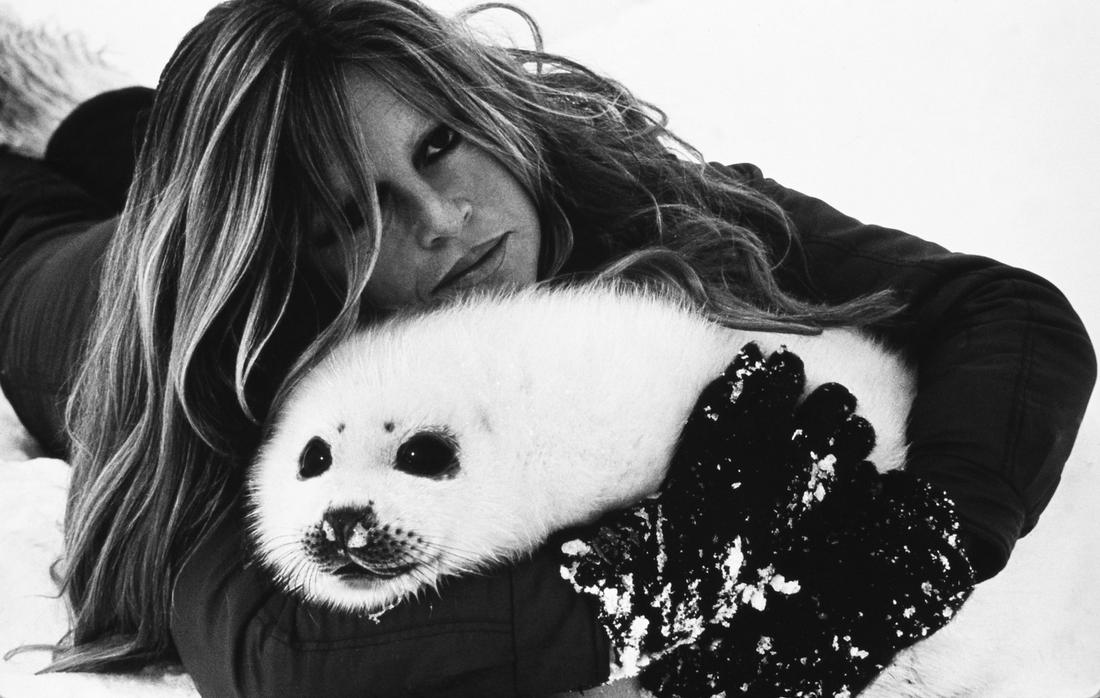 Leonard DE RAEMY (1924-2000)   Brigitte Bardot ,1977 (1 of 1)