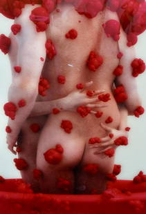 KIM JOON (NE EN 1966): KIM JOON (NE EN 1966) Red Bubble,2007 Tirage chromogénique digital monté sous diasec Signé et daté au dos Numéroté 3/8 au dos Tirage à 8 exemplaires 140 x 100 cm Dig