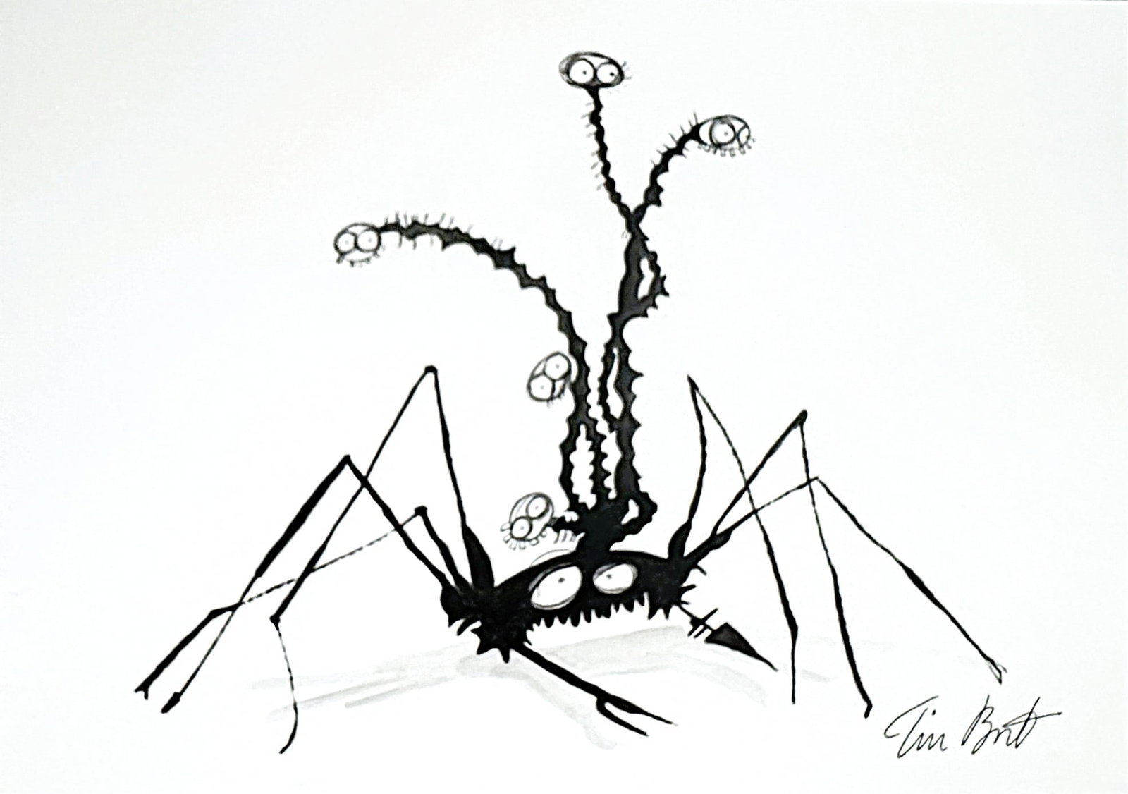 Tim BURTON (Né en 1958) The spider. (1 of 1)