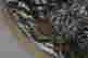 item-44479837=3