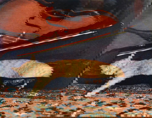 CONDAX, LOUIS (1897-1971) Cat asleep in violin: CONDAX, LOUIS (1897-1971) Cat asleep in violin case. Dye-transfer print, 12 1/2x15 3/4 inches (31.8x40 cm.), mounted. Late 1930s Formerly in the collection of Condax, who invented the dye transfer pro