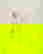 item-722106=1