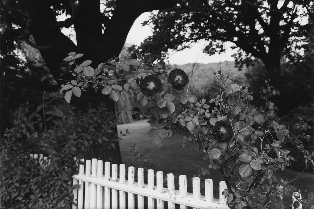 LEE FRIEDLANDER (1934- ) Pomona, New York.: LEE FRIEDLANDER (1934- ) Pomona, New York. Silver print, the image measuring 7½x11¼ inches (19.1x28.6 cm.), the sheet 11x14 inches (27.9x35.6 cm.), with Friedlander's signature, title, date,